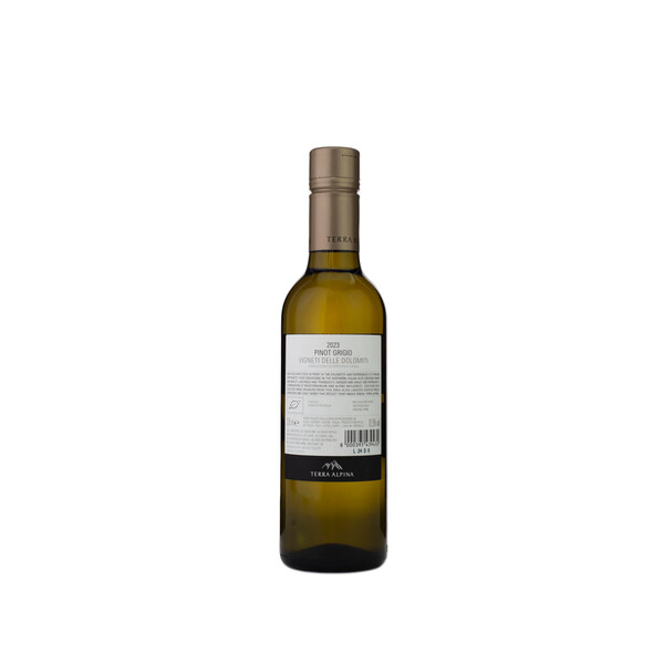 white wine Pinot Grigio 2023