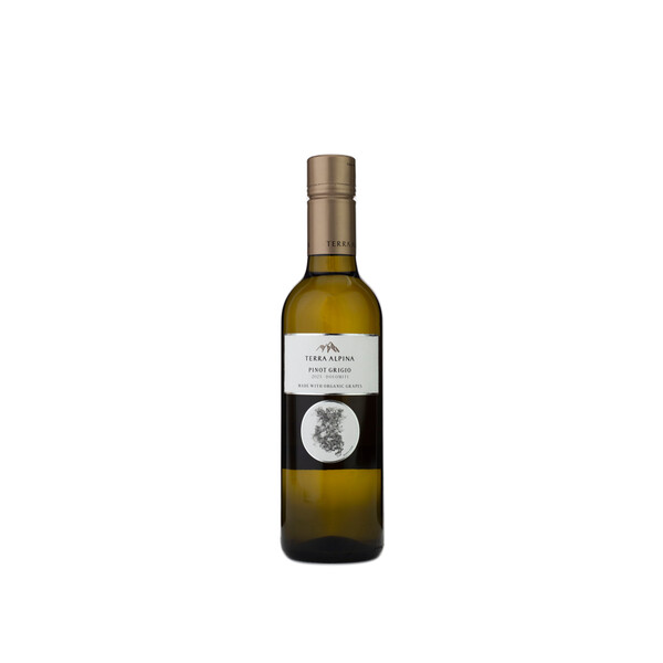 white wine Pinot Grigio 2023