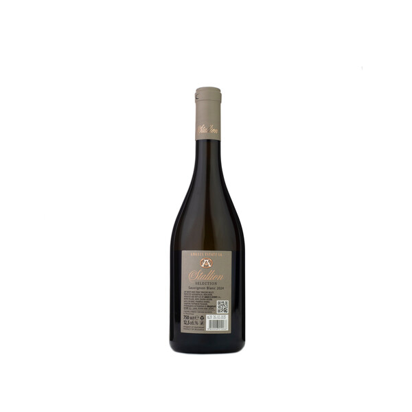 wine Stallion Selection Sauvignon Blanc 2024