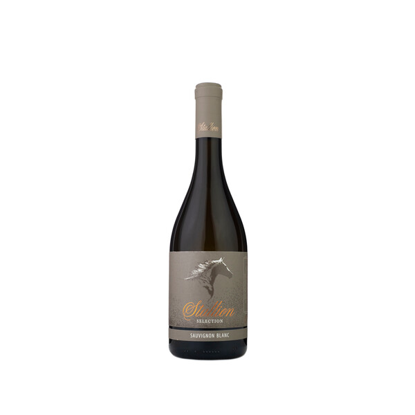 wine Stallion Selection Sauvignon Blanc 2024