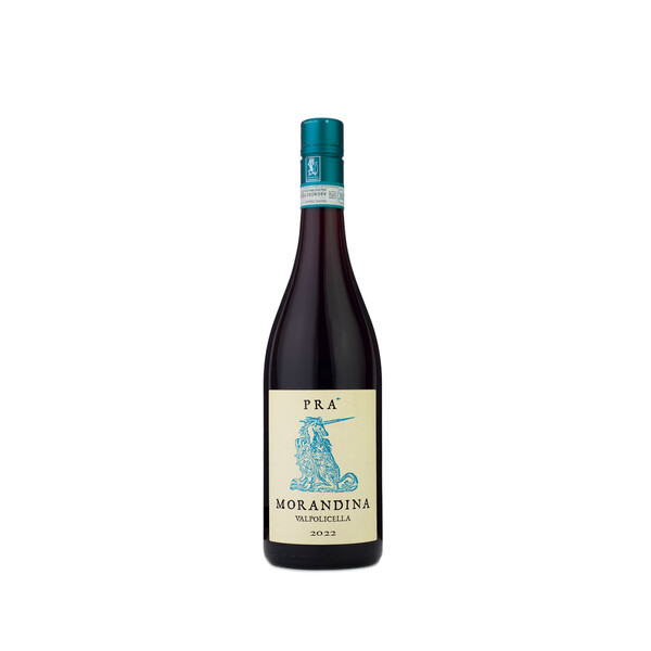 red wine Morandina Valpolicella DOC 2022