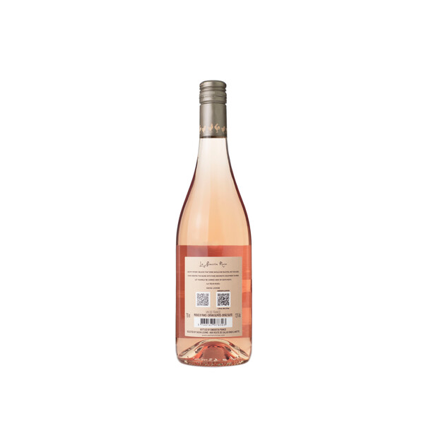 Rose Le Poussin Pays d'Oc 2024