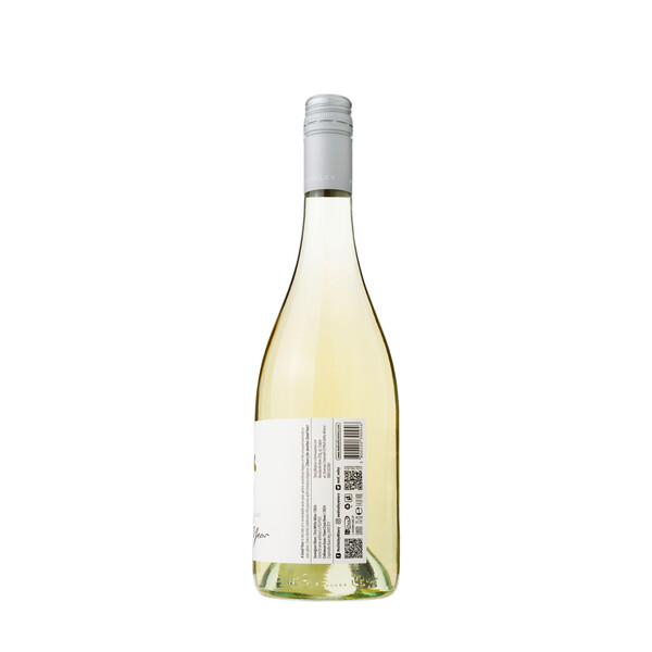 white wine Sauvignon Blanc  Struma Valley A Good Year Medi Valley 2024