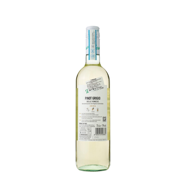 white wine Pinot Grigio Turano  delle Venezie DOC 2024