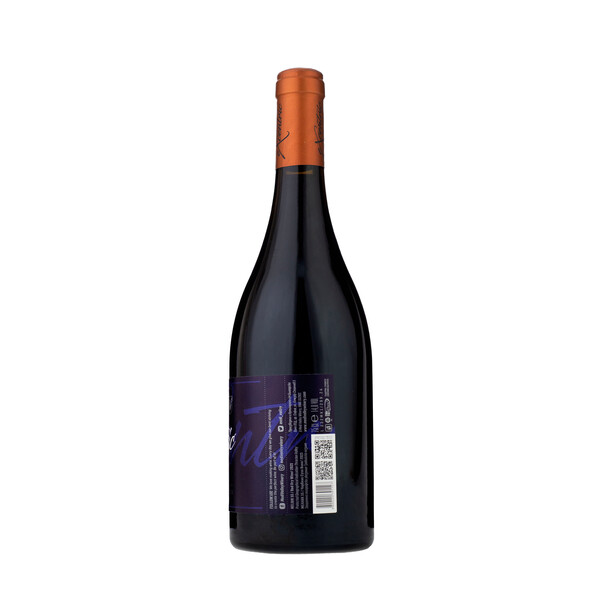 red wine Melnik 55 eXcentric 2022