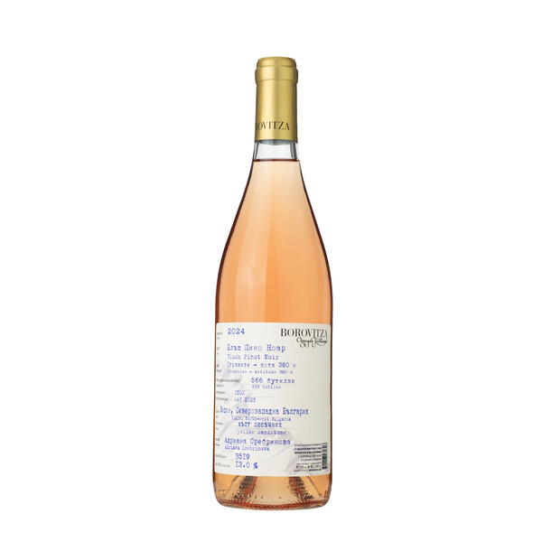 wine Rosé Blash Bouquet 2024