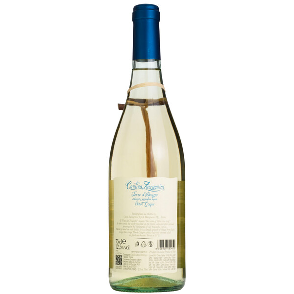 Pinot Grigio Tralcetto Terre d’Abruzzo IGT Cantina Zaccagnin